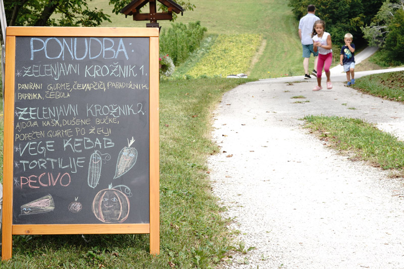 Poročilo s prvega piknika po ideji Celovitega veganstva, 23. 8. 2025