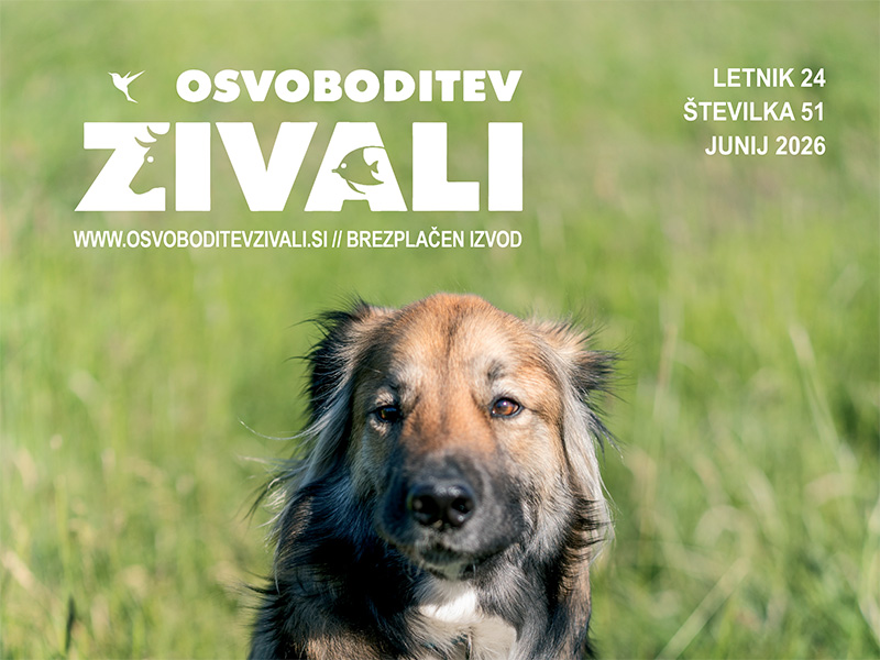 Izšla je 51. številka revije Osvoboditev živali