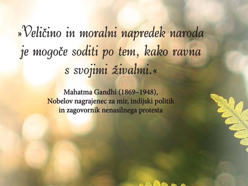 Veličina in moralni napredek naroda